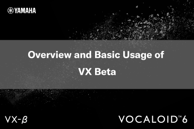 Overview and Basic Usage of VX Beta